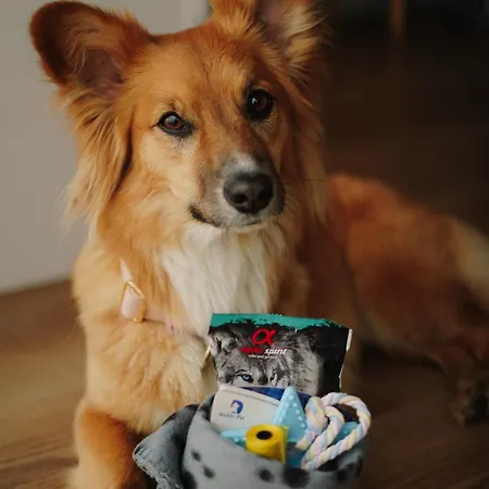 Herbals - Tree&lake With Bath, Sauna, Bikes, Motorboat * Mielno (Koszalin)