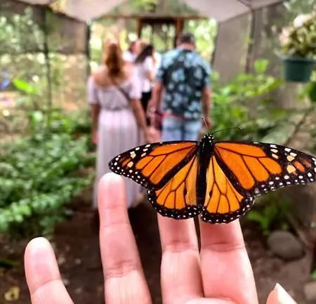 Herbals - Tree&lake With Bath, Sauna, Bikes, Motorboat *