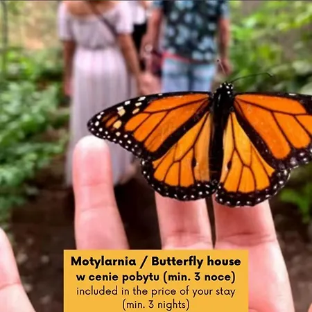 Appartement Herbals - Tree&lake With Bath, Sauna, Bikes, Motorboat