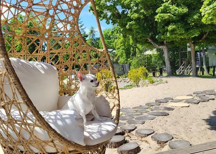 Herbals - Tree&lake With Bath, Sauna, Bikes, Motorboat Appartement Mielno (Koszalin)